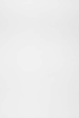 Double Roller Blind with Snow Furrow Transparent inner fabric