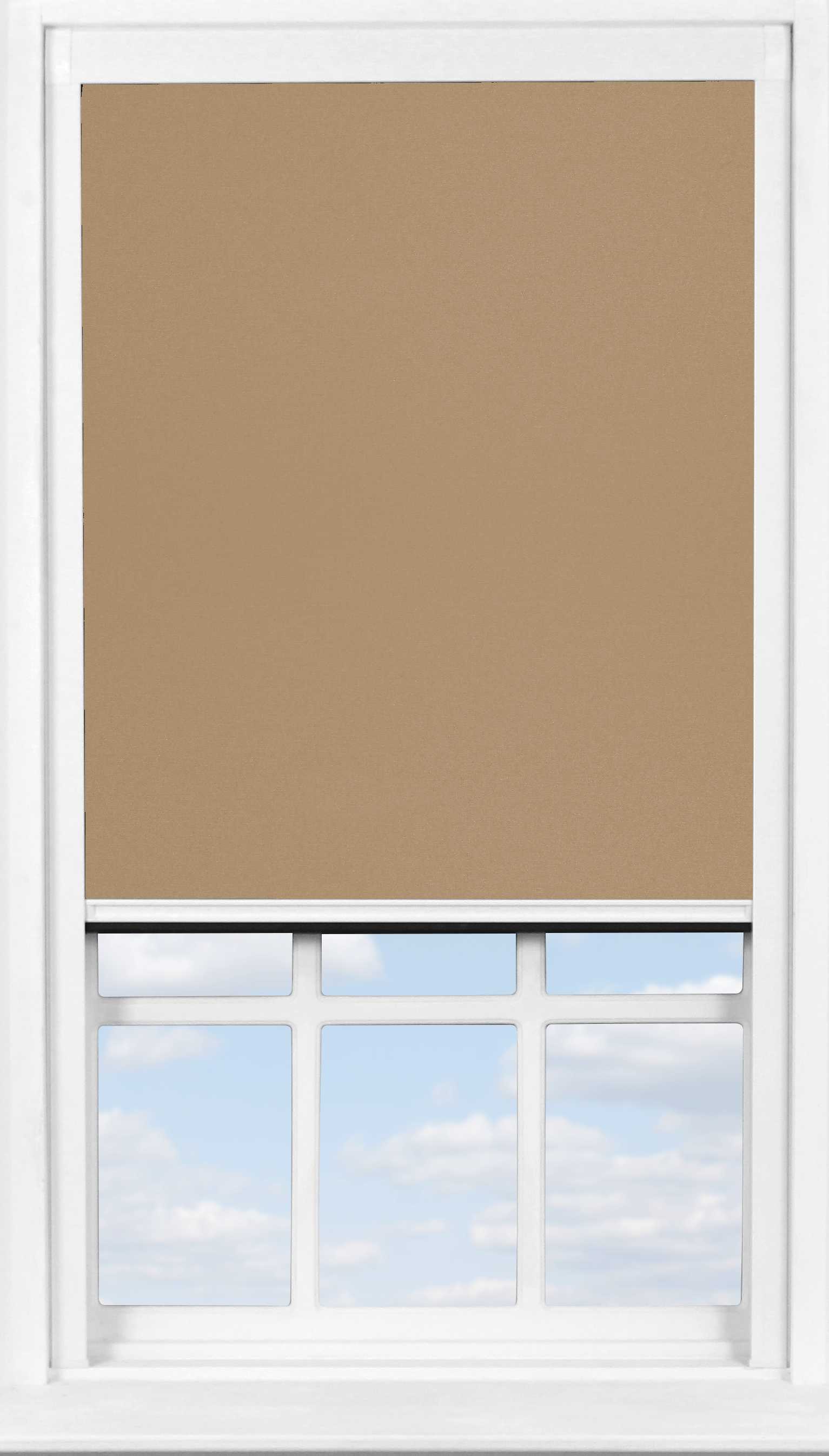 BlocOut<sup>&trade;</sup> in Turf Blackout