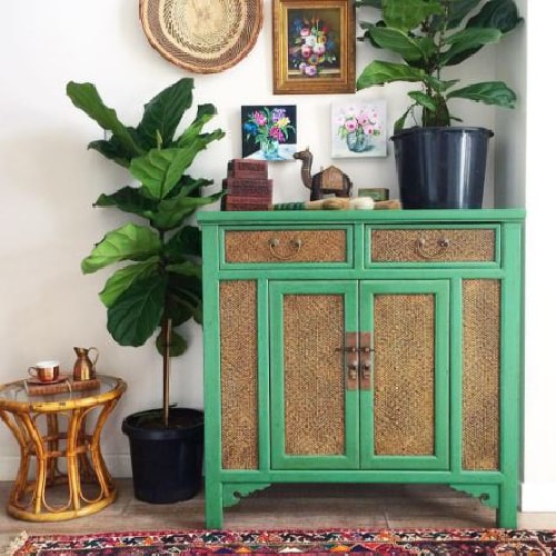house plants