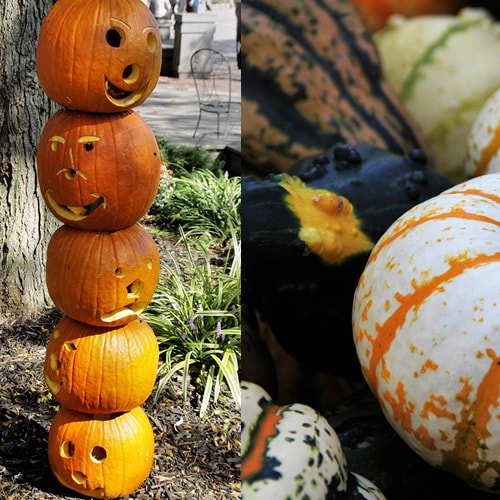 Halloween pumpkin totem pole